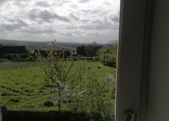 LA Vinee Gîte 8.12 pers, maison familiale